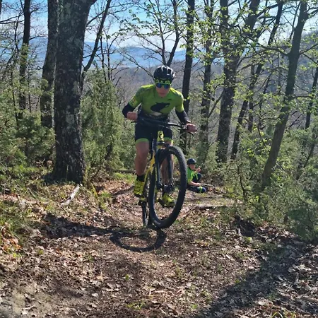 Σπίτι διακοπών Porta Del Centro Γκούμπιο